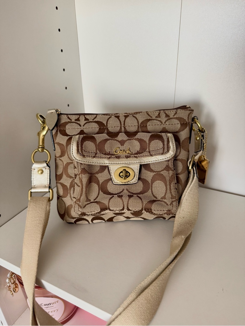 Coach Signature Canvas Crossbody Bag in Brown
